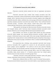 Intelektinė nuosavybė ir jos apmokėjimas 11 puslapis