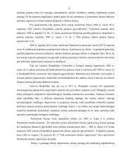 Intelektinė nuosavybė ir jos apmokėjimas 12 puslapis