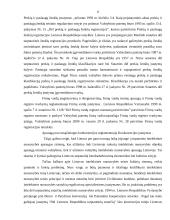 Intelektinė nuosavybė ir jos apmokėjimas 13 puslapis