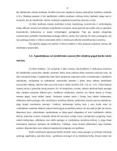 Intelektinė nuosavybė ir jos apmokėjimas 16 puslapis