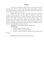 Intelektinė nuosavybė ir jos apmokėjimas 3 puslapis