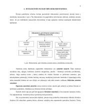 Intelektinės nuosavybės dokumentai 6 puslapis