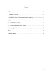 Intelektinės veiklos rezultatų apsauga: tikslai, uždaviniai, apsaugos sistema, patentologijos reikšmė 2 puslapis