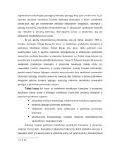 Intelektualinės nuosavybės rinka Europos sąjungoje 15 puslapis