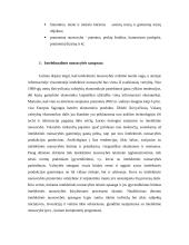 Intelektualinės nuosavybės rinka Europos sąjungoje 4 puslapis