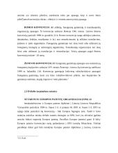 Intelektualinės nuosavybės rinka Europos sąjungoje 8 puslapis