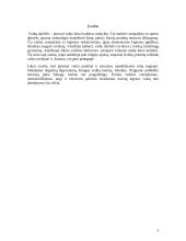 Įvairaus amžiaus žmonių kūno kultūra 3 puslapis