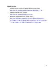 Japonijos valstybės skola ir jos valdymas 11 puslapis