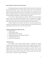 Japonijos valstybės skola ir jos valdymas 3 puslapis