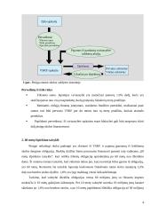 Japonijos valstybės skola ir jos valdymas 4 puslapis