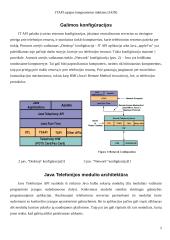 JTAPI sąsajos integruotiems tinklams (JAIN) 5 puslapis