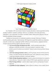 JTAPI sąsajos integruotiems tinklams (JAIN) 6 puslapis