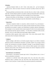 Kalbos etiketo vaidmuo verslo kalboje 3 puslapis