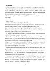 Kalbos etiketo vaidmuo verslo kalboje 5 puslapis