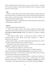 Kalbos etiketo vaidmuo verslo kalboje 7 puslapis