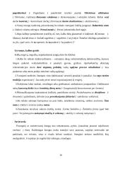 Kalbos etiketo vaidmuo verslo kalboje 9 puslapis