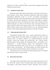 Kaučiuko medžiaga 5 puslapis