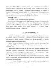 Klaipėdos laisvoji ekonominė zona 10 puslapis