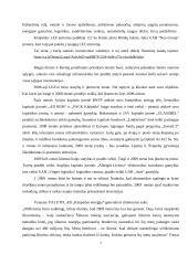 Klaipėdos laisvoji ekonominė zona 6 puslapis