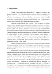 Klasikinių ekonomistų politiniai sprendimai 13 puslapis