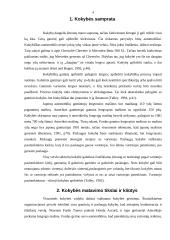 Kokybės samprata ir kokybės vadyba 4 puslapis