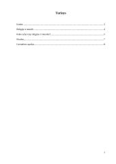 Koks ryšys tarp religijos ir moralės, anot I. Kanto? 2 puslapis