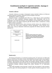 Kombinuotas puslapių ir segmentų metodas. Apsauga ir bendras atminties naudojimas 2 puslapis