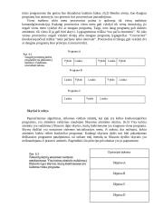 Kombinuotas puslapių ir segmentų metodas. Apsauga ir bendras atminties naudojimas 3 puslapis