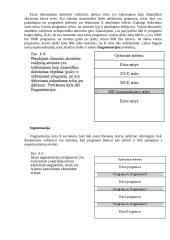 Kombinuotas puslapių ir segmentų metodas. Apsauga ir bendras atminties naudojimas 4 puslapis