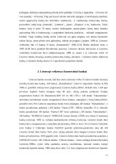 Komerciniai bankai ir jų raida Lietuvoje 12 puslapis