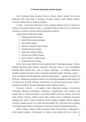 Komerciniai bankai ir jų raida Lietuvoje 14 puslapis