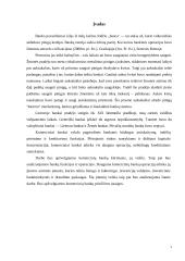 Komerciniai bankai ir jų raida Lietuvoje 3 puslapis