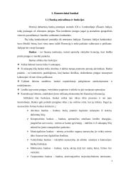 Komerciniai bankai ir jų raida Lietuvoje 4 puslapis