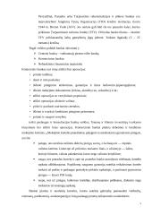 Komerciniai bankai ir jų raida Lietuvoje 5 puslapis