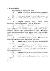 Kompiuteriniai nusikaltimai ir virusinės programos 4 puslapis