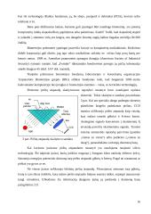 Kompiuterinių tinklų apsaugos priemonės ir duomenų apsauga 17 puslapis