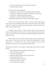 Kompiuterinių tinklų apsaugos priemonės ir duomenų apsauga 20 puslapis