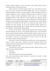 Kompiuterinių tinklų apsaugos priemonės ir duomenų apsauga 8 puslapis