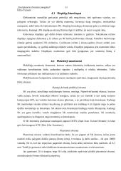 Kompiuterio išvedimo priemonės 10 puslapis