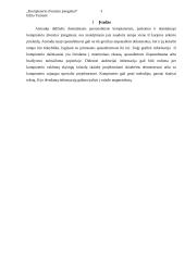 Kompiuterio išvedimo priemonės 2 puslapis