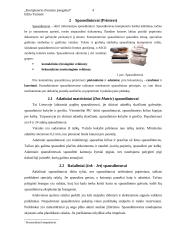 Kompiuterio išvedimo priemonės 3 puslapis