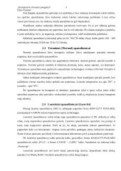 Kompiuterio išvedimo priemonės 4 puslapis