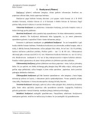 Kompiuterio išvedimo priemonės 8 puslapis