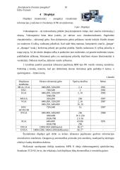 Kompiuterio išvedimo priemonės 9 puslapis