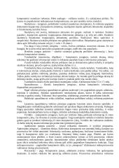 Kompiuteris 3 puslapis