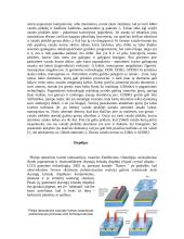 Kompiuteris ir jo sudėtinės dalys. Optimaliausia komplektacija žemėlapių sudarymui 4 puslapis