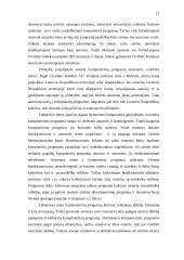 Kompiuterių programų teisinė apsauga 11 puslapis