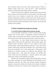 Kompiuterių programų teisinė apsauga 12 puslapis