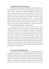 Kompiuterių programų teisinė apsauga 19 puslapis