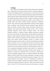 Kompiuterių programų teisinė apsauga 3 puslapis